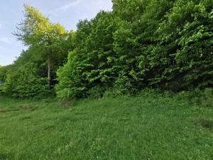 Oportunitate de Investiție - Teren de Basm in Bascov. DIRECT PROPRIETAR. - imagine 11