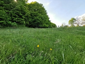 Oportunitate de Investiție - Teren de Basm in Bascov. DIRECT PROPRIETAR. - imagine 9