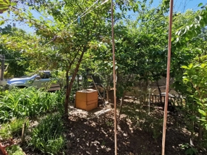 Casă 5 camere, curte proprie, 160 mp, Rahova - imagine 17