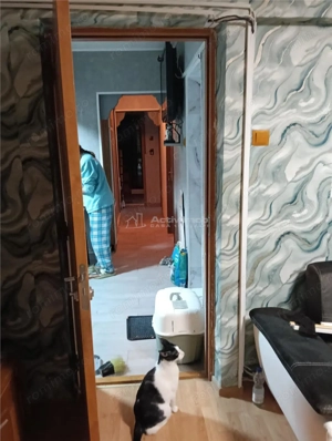 Apartament cu 3 camere-Bloc reabilitat-Teius-Stradal-Mobilat si utilat- - imagine 10
