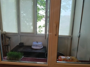 Apartament cu 3 camere-Bloc reabilitat-Teius-Stradal-Mobilat si utilat- - imagine 18