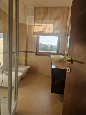 Cluj Napoca, apartament 3 camere - imagine 14