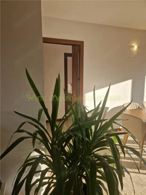Cluj Napoca, apartament 3 camere - imagine 11