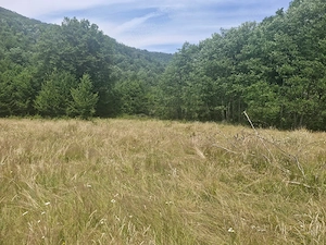 Cabană și teren 1800 m intravilan  la  munte - imagine 7