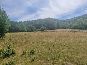 Cabană și teren 1800 m intravilan  la  munte - imagine 6