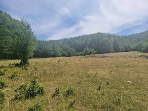 Cabană și teren 1800 m intravilan  la  munte - imagine 5