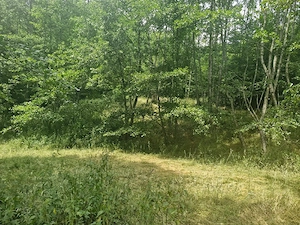 Cabană și teren 1800 m intravilan  la  munte - imagine 8