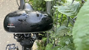 Sa bicicleta P&P Wolke 7 chiar si pentru cei care au avut operatii