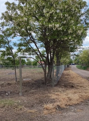 Proprietar vând teren intravilan  Tulcea - imagine 3