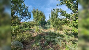 Casa de vanzare in cartierul Marasti. Comision 0! - imagine 15