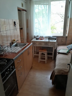 Apartament 2 camere de vanzare in Bucecea, semidecomandat 45 mp utili - imagine 4