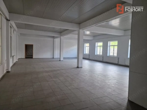 Spatiu comercial cu 16 incaperi - zona Mehala - imagine 7