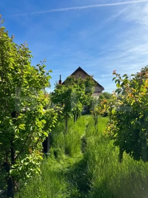 Casă individuală, 190 mp, curte generoasă cu grădină, zona Ronaț