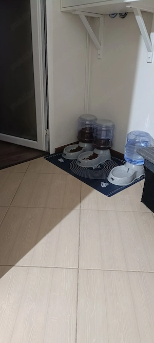 Hrănitor + Adăpător automat pisici câini   3.5L fiecare   aproape noi - imagine 3