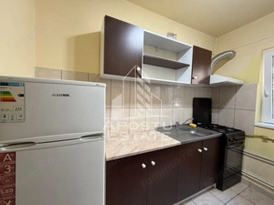 Apartament cu 1 camera, de vanzare, zona Blascovici, Timisoara