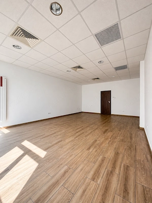 S.A.D   zona Mehala | 663 mp utili | 1464 mp teren  - imagine 6