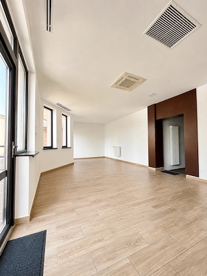 S.A.D   zona Mehala | 663 mp utili | 1464 mp teren  - imagine 8