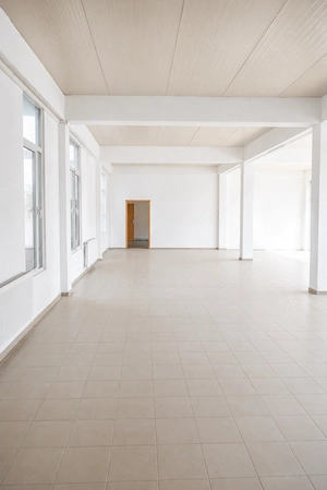 S.A.D   zona Mehala | 663 mp utili | 1464 mp teren  - imagine 4