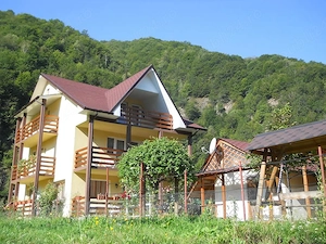 Casa tip vila de vanzare