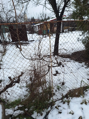 Steaua,teren cu casa demolabila,suprafata 550 mp,str Bujorilor nr 27,casa din fata+teren aferent - imagine 4