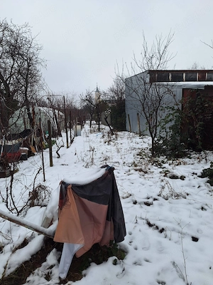 Steaua,teren cu casa demolabila,suprafata 550 mp,str Bujorilor nr 27,casa din fata+teren aferent - imagine 7