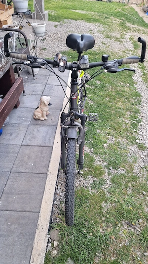 bicicleta   - imagine 5