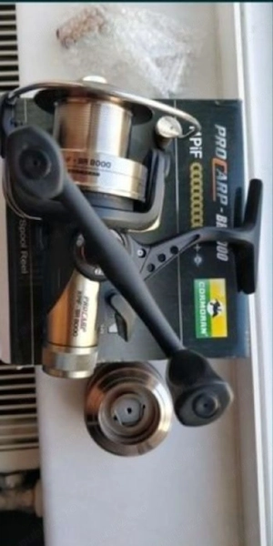 mulineta cormoran pro Carp nouă 