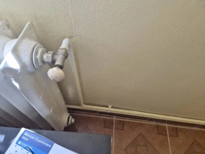 Apartament cu gradina, foisor si bucatarie de vara in Vidra - imagine 4
