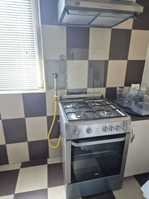 Apartament cu gradina, foisor si bucatarie de vara in Vidra - imagine 9