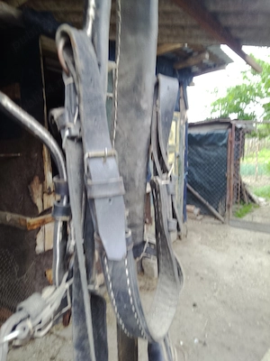 Vând ham din piele 