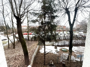 de inchiriat apartament 2 camere, Nord, Judetean, Cameliei - imagine 10