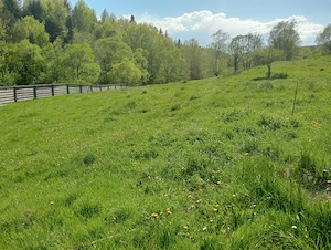 Teren de vânzare intravilan Pârteștii de jos-Bucovina  - imagine 8