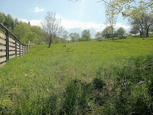 Teren de vânzare intravilan Pârteștii de jos-Bucovina  - imagine 3