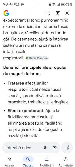 Sirop muguri brad  - imagine 3