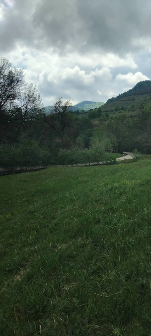 Vând Teren intravilan în Comuna Buceș ( Sat . Stănija ),Sup.1727 mp - imagine 3
