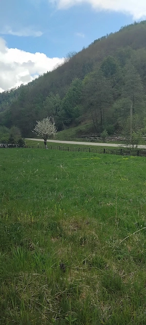 Vând Teren intravilan în Comuna Buceș ( Sat . Stănija ),Sup.1727 mp - imagine 7