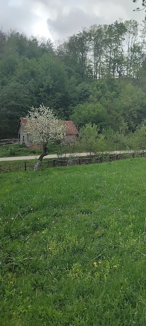 Vând Teren intravilan în Comuna Buceș ( Sat . Stănija ),Sup.1727 mp - imagine 10