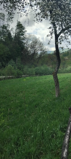 Vând Teren intravilan în Comuna Buceș ( Sat . Stănija ),Sup.1727 mp - imagine 8