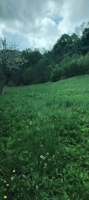 Vând Teren intravilan în Comuna Buceș ( Sat . Stănija ),Sup.1727 mp - imagine 6