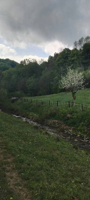 Vând Teren intravilan în Comuna Buceș ( Sat . Stănija ),Sup.1727 mp - imagine 5