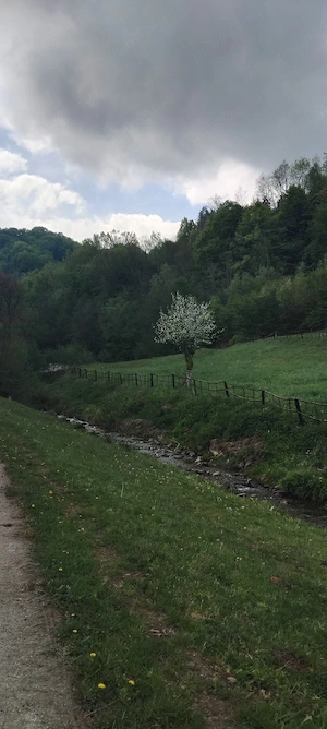 Vând Teren intravilan în Comuna Buceș ( Sat . Stănija ),Sup.1727 mp - imagine 4