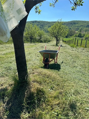 Vand teren intravilan 1850m p in Beleti-Negresti jud.Arges ,sat Zgipcesti - imagine 2