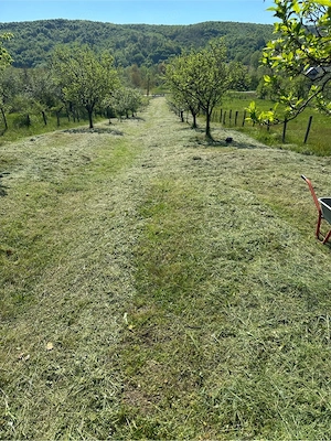 Vand teren intravilan 1850m p in Beleti-Negresti jud.Arges ,sat Zgipcesti - imagine 4