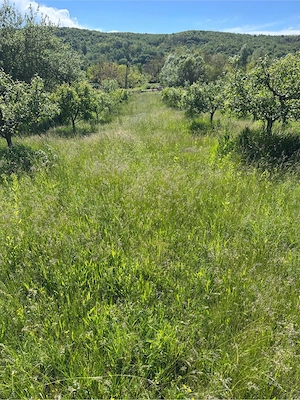 Vand teren intravilan 1850m p in Beleti-Negresti jud.Arges ,sat Zgipcesti - imagine 3