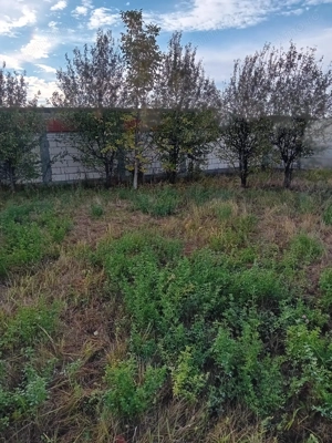 Teren autorizat pentru constructie 490mp