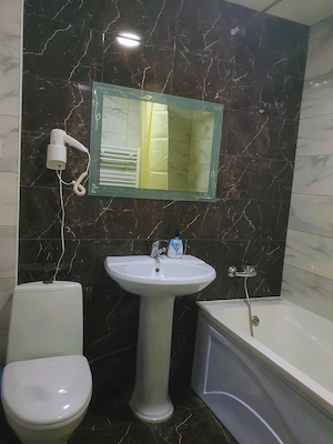 Apartament cu 2 camere de închiriat în zona Tei - imagine 4