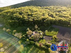 ID 7923 EXCLUSIVITATE - Oază de liniște în Visterna - imagine 3