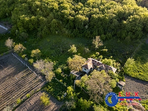 ID 7923 EXCLUSIVITATE - Oază de liniște în Visterna - imagine 2
