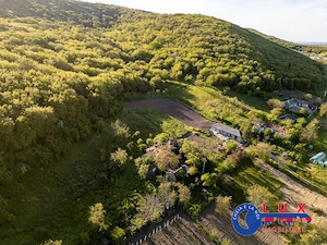 ID 7923 EXCLUSIVITATE - Oază de liniște în Visterna - imagine 8