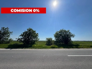 Teren agricol 12.500 mp | Deschidere directă DN61 | Dublu acces | Corbii Mari | Dambovita - imagine 5